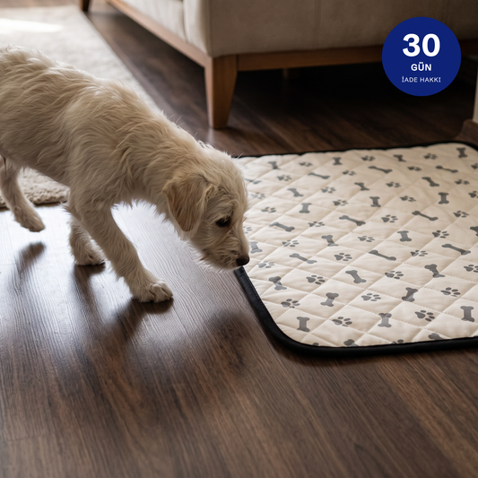 Köpek yıkanabilir çiş pedine yaklaşıyor — 30 gün iade hakkı